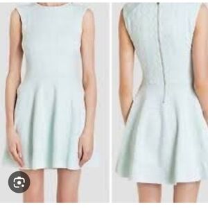 TED BAKER Frinca Skater Dress Faint Sea Foam Green